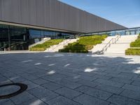 steps leading up to a building with large windows on each side and landscaping around them