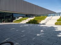 steps leading up to a building with large windows on each side and landscaping around them