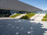 steps leading up to a building with large windows on each side and landscaping around them