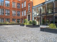 an empty parking lot with plants in the ground and on the side of the building, there is an enclosed area and windows