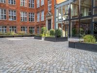 an empty parking lot with plants in the ground and on the side of the building, there is an enclosed area and windows