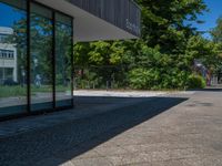 Berlin Urban Design: Cobblestone Path under Clear Skies