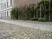 a building with vines growing out of it near a cobble stone path in front of a building