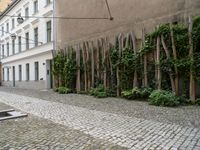 a building with vines growing out of it near a cobble stone path in front of a building