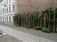 a building with vines growing out of it near a cobble stone path in front of a building