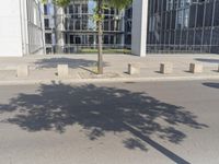 trees and buildings outside a city business center building along a street with concrete posts and a tree casting a shadow