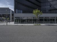 an empty street next to a building with glass windows and a tree in front of it