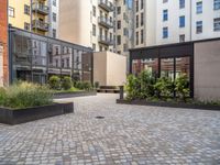 an empty parking lot with plants in the ground and on the side of the building, there is an enclosed area and windows