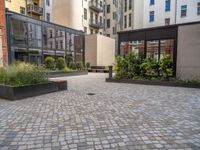 an empty parking lot with plants in the ground and on the side of the building, there is an enclosed area and windows