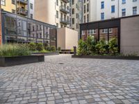 an empty parking lot with plants in the ground and on the side of the building, there is an enclosed area and windows