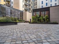 an empty parking lot with plants in the ground and on the side of the building, there is an enclosed area and windows