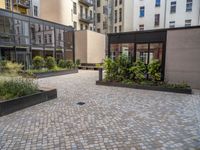 an empty parking lot with plants in the ground and on the side of the building, there is an enclosed area and windows