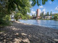 a beach next to trees and some buildings by the water in a park on the bank