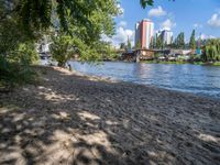 a beach next to trees and some buildings by the water in a park on the bank