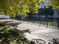 a river runs beside a road and next to buildings under trees in the sunlight and shade