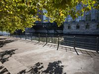 a river runs beside a road and next to buildings under trees in the sunlight and shade