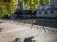 a river runs beside a road and next to buildings under trees in the sunlight and shade