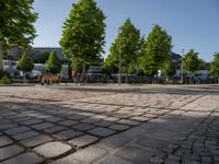 a group of benches in front of some trees and buildings on the street, all along with a few trees to the right