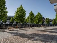 a group of benches in front of some trees and buildings on the street, all along with a few trees to the right