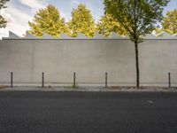 the building has a large white wall with four trees on the sidewalk in front of it