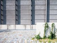 Exploring Urban Berlin: Walls of Concrete