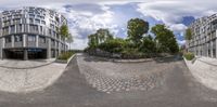 four photos taken with a fisheye lens of buildings and trees behind it at a street corner