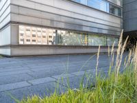 the sidewalk outside the building is gray and there is also some grass in front of the building