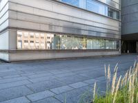 the sidewalk outside the building is gray and there is also some grass in front of the building