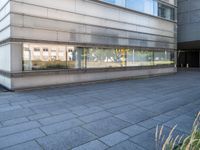 the sidewalk outside the building is gray and there is also some grass in front of the building