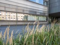 the sidewalk outside the building is gray and there is also some grass in front of the building