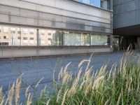 the sidewalk outside the building is gray and there is also some grass in front of the building