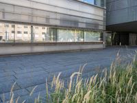 the sidewalk outside the building is gray and there is also some grass in front of the building