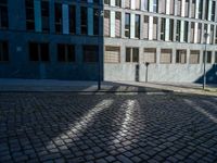 a fire hydrant stands in a cobblestone street with many buildings around it