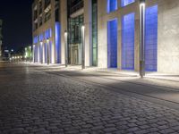 blue lit buildings at night behind a brick sidewalk with a black dog sitting on the pavement