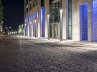 blue lit buildings at night behind a brick sidewalk with a black dog sitting on the pavement