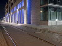 blue lit buildings at night behind a brick sidewalk with a black dog sitting on the pavement