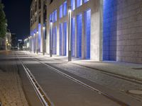 blue lit buildings at night behind a brick sidewalk with a black dog sitting on the pavement