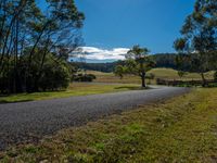 a country road runs through a valley surrounded by wooded woods, grass and trees,