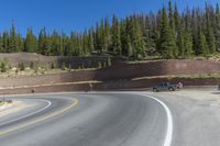 two motorcycles and a motorcycle are going past a curve on a road near a forest