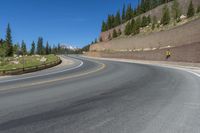 two motorcycles and a motorcycle are going past a curve on a road near a forest