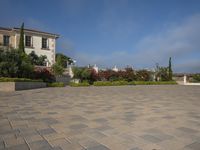 large open driveway with decorative plants and shrubs in a residential setting in california's beverly heights