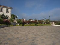 large open driveway with decorative plants and shrubs in a residential setting in california's beverly heights