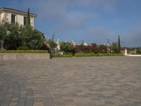 large open driveway with decorative plants and shrubs in a residential setting in california's beverly heights