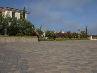 large open driveway with decorative plants and shrubs in a residential setting in california's beverly heights