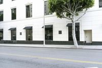 a tree is next to a building with windows and black awnings on it