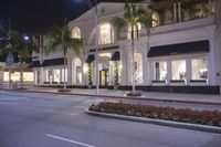 a lighted up building sits on the side of the street with palm trees and flowers on the side