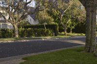 a residential neighborhood street with purple flowers all over the road from trees to sidewalk in front