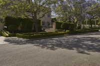 Residential Properties in Beverly Hills, California