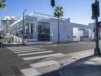 palm trees line the street outside of the store of fashions at the corner of the road