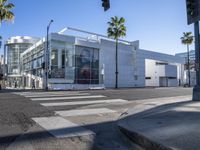 palm trees line the street outside of the store of fashions at the corner of the road